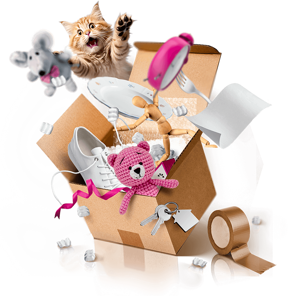 CARTON EXPLOSE (1)